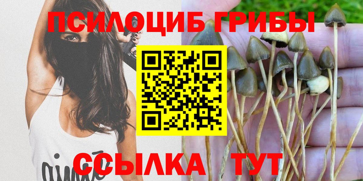 цены   Вход с VPN  Ликино-Дулёво  Галлюциногенные грибы ЛСД  Галлюциногенные грибы GOLDEN TEACHER 